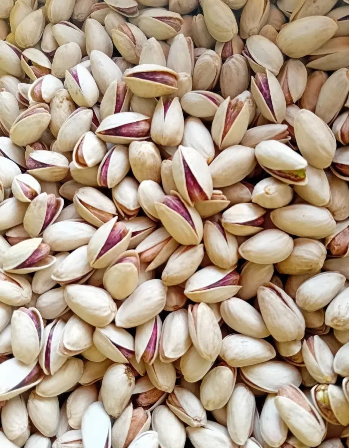 پسته خام اکبری ۲۰۰ گرمی
